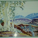 Painting PeterTaylor WaterColor 01  Peter Taylor's water color painting of ghost gums.